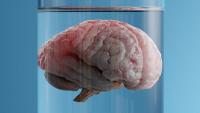 What if The Brain Doesn't Create Consciousness? Scientist Proposes It Might Be The Fabric of Reality Itself