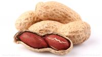 Early introduction of allergens linked to drop in childhood peanut and food allergies, study finds