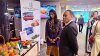 Pak HC holds mango festival in Singapore to mark 60 years of diplomatic ties