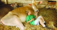 Why do farm children tend to avoid asthma and allergies?