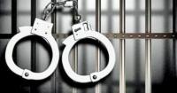 Feds confirm law enforcement sweep in 1 city nets 1,200 illegal immigrants