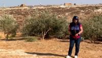 Israeli settler attacks rise as West Bank residents lose land