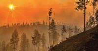 Boeing donates $250,000 to support Spokane wildfire recovery