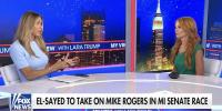 Michigan's election is 'crazy' vs 'common sense': GOP strategist