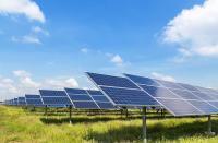 A Colorado farm added 3,276 solar panels, and heat-stressed crops now thrive in their shade