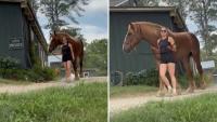 Virginia rescuers save 6-foot-7 'Big Mama,' one of the world's largest female horses