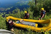 Canada firefighters use boat to free bird dangling over water in fishing line