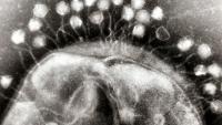 Science Snapshots: August 9, 2026