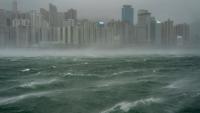 Dolphin, Dim-sum, Banyan: How Tropical Cyclones Get Their Names