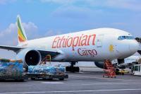 Ethiopian Eyes Bigger on Cargo as Costs Outrun Record Revenue