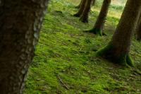 Steps urged to protect environment