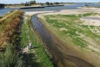 Netherlands grapples with water shortage amid drought, heatwaves