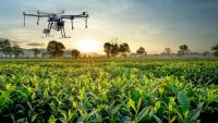 Adjuvant Innovations: The Next Generation of Smarter, More Efficient Spray Solutions