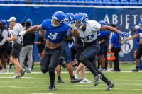 Fan fest gives Memphis Tigers faithful first glimpse into Huff era