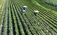 World : Food Prices Surge Amid Unprecedented Heat Wave