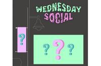 Public art launch at final Wednesday Social