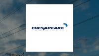 Chesapeake Utilities Q2 Earnings Call Highlights