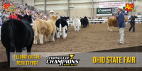 2026 Ohio State Fair Jr. Market Beef Show Results