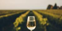 Alcoholism causes over 40,000 deaths a year in France