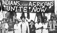 Experts warn T&T reaching a racial breaking point