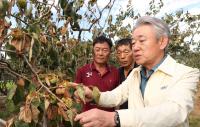 Nonghyup Injects 300 Billion Won to Aid Farmers Hit by Heat, Drought