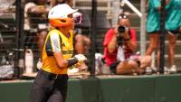 Lake Mary Little League game recap: Florida advances to semifinal
