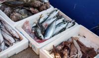 National Marine Fisheries Service Is Seeking Public Comments On Seafood Imports