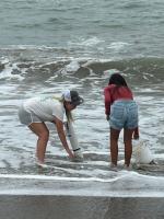 Girls in Ocean Science Inspires New Wave of Ocean Stewards