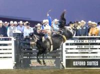 Farm-City Pro Rodeo ropes in rodeo action in Hermiston