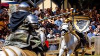 Maryland Renaissance Festival Tickets On Sale!