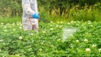 How States Can Protect Residents From Harmful Pesticides
