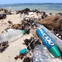 Plastic tide