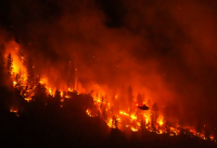 Wildfire forces 20,000 evacuations in Canada