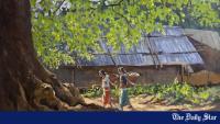 Painting the hills, preserving roots