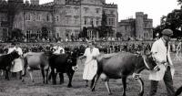 Looking back at the history of the Denbigh & Flint Show as show nears return