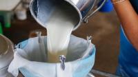 Milk price to rise by Rs 2 in Maharashtra from August 11; No MSP proposal for dairy farmers