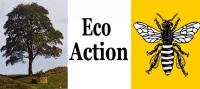 ECO ACTION - Six steps to help the planet as widespread willdfires burn in Europe