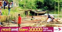 Boat-building keeps century-old tradition alive in Pirojpur's Nesarabad