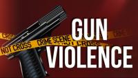 VIDEO: PM Browne Says Parliament Toughened Gun Laws but Courts Continue to Hand Down Lenient Sentences
