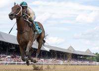 City of Light Firster Summer Starlet Streaks Home a ‘TDN Rising Star’