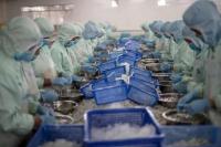 Vietnam’s Labour Exodus Deepens Domestic Worker Shortages
