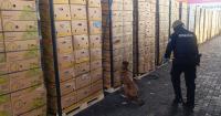 Ecuador seizes in Guayaquil 1.2 tons of cocaine hidden in fruit boxes heading to Spain