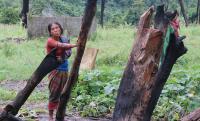 International Day of the World’s Indigenous Peoples observed today