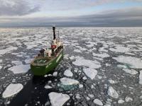 Gov't commissions research to promote use of arctic route: sources