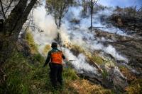 World AFP Indonesia closes national park as wildfire spreads