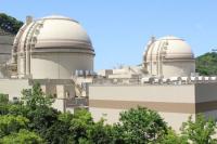 Reactor at Kansai Electric's Oi Plant Stops after Alarm