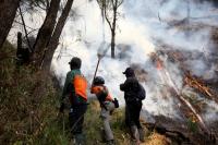 Indonesia closes national park as wildfire spreads