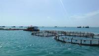 Vietnam sets out plan to become strong maritime nation by 2030