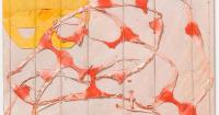 Immersive art, live music and exhibitions coming to Stroud this autumn