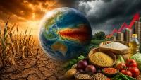 El Nino To Intensify From August: Should India Worry About Food Inflation?